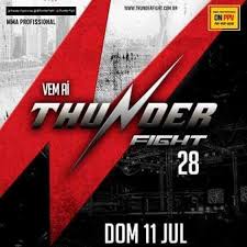 Thunder Fight 28